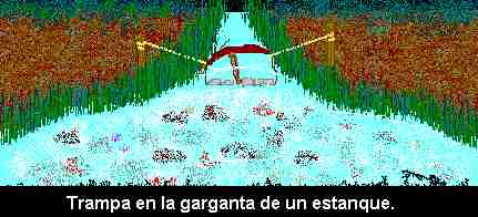 Trampa para poner en una garganta de la que sale un arroyo de un estanque